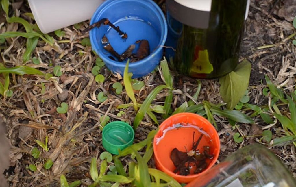 LA MUNICIPALIDAD DE VILLA OCAMPO CONTINÚA LA CAMPAÑA DE DESCACHARRADO Y PREVENCION CONTRA EL DENGUE